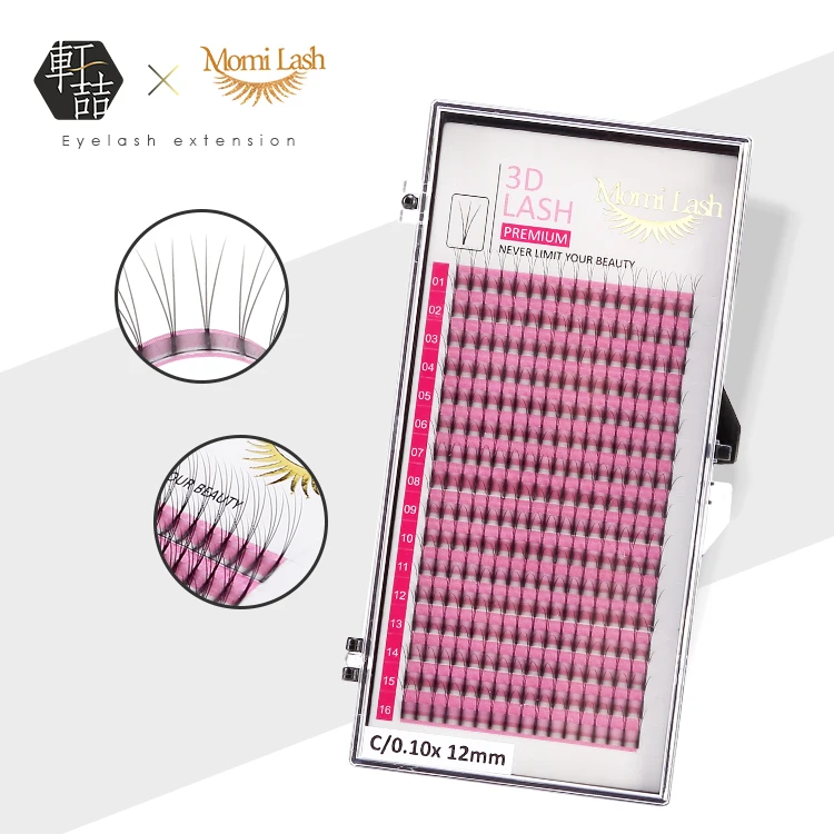 New Private Label 3D Premade Fans Lashes Vietnam Volume Eyelashes