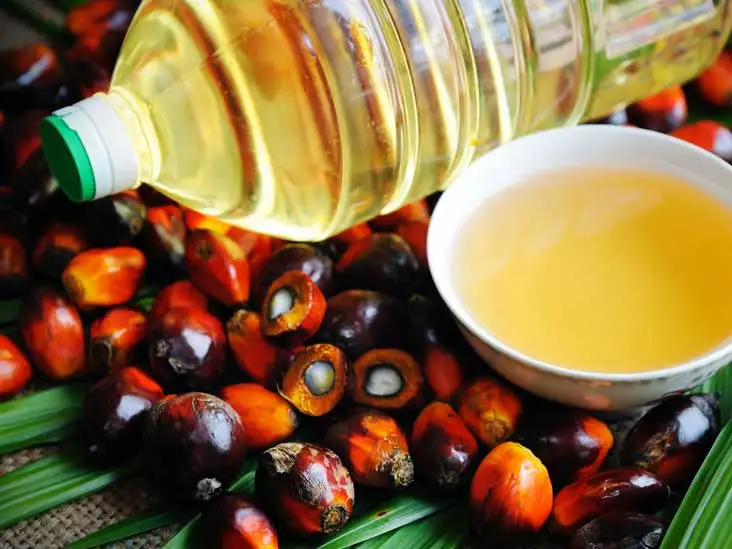 PALM COOKING OIL 24.jpg