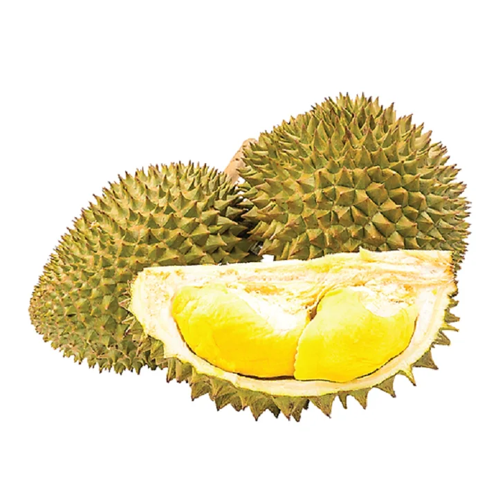 High Quality Fresh Durian For Export  Vietnam Fresh Durian Fruit Origin Type High Grade Good Price Best Taste Durians