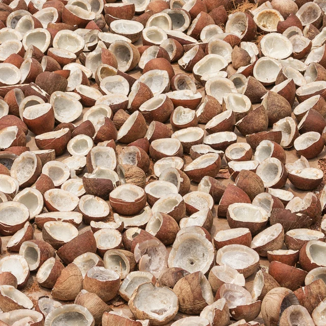 High Quality Dry Copra 100% Pure Coconut