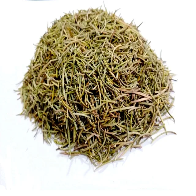 Rosemary - Rosmarinus Officinalis compas compass plant or polar plant Rosmarinus means ocean dew