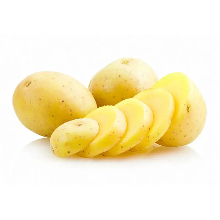 Good Quality Fresh Potato / Fresh Potato / Potato Supplier