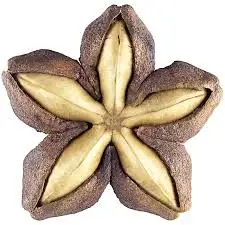 Оптовая продажа саше инчи добавки для здоровья из вьетнама Axel + 84 38 776 0892