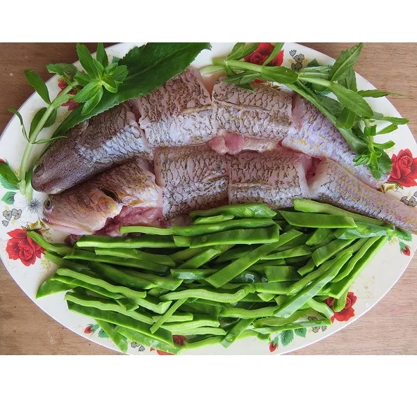 High Quality Common OCOP Air-dried 12 Months Natural Body Cleaned Lizard Fish with Vacuum Packaging From Vietnam For Sale