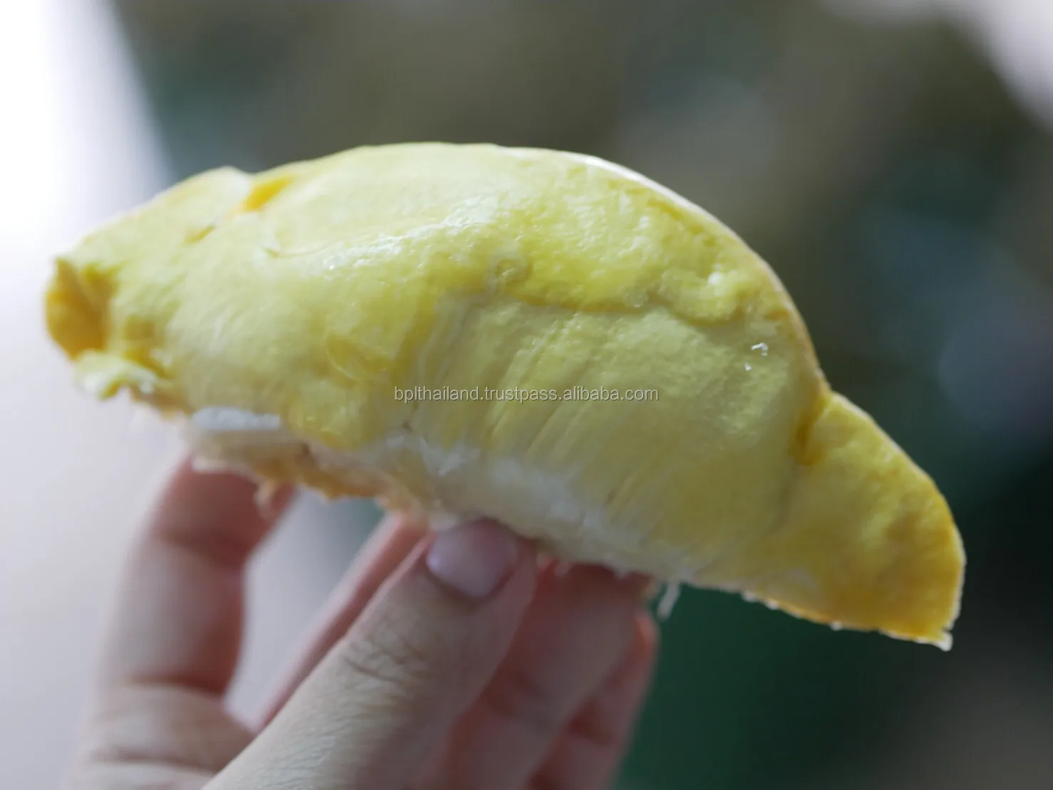
Fresh Durian Monthong Golden Pillow Durian Thailand 