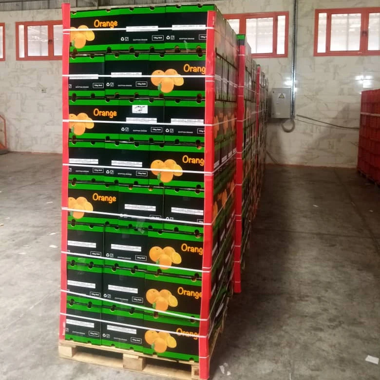 HIGH QUALITY JAFFA ORANGE FROM EGYPT