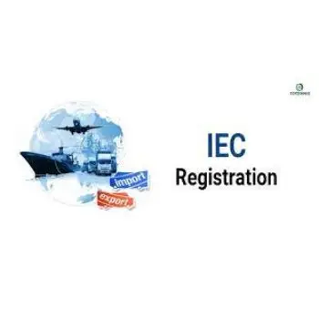 Professional Explore similar services View all services in Document Translation Language Translation Service in New Delhi