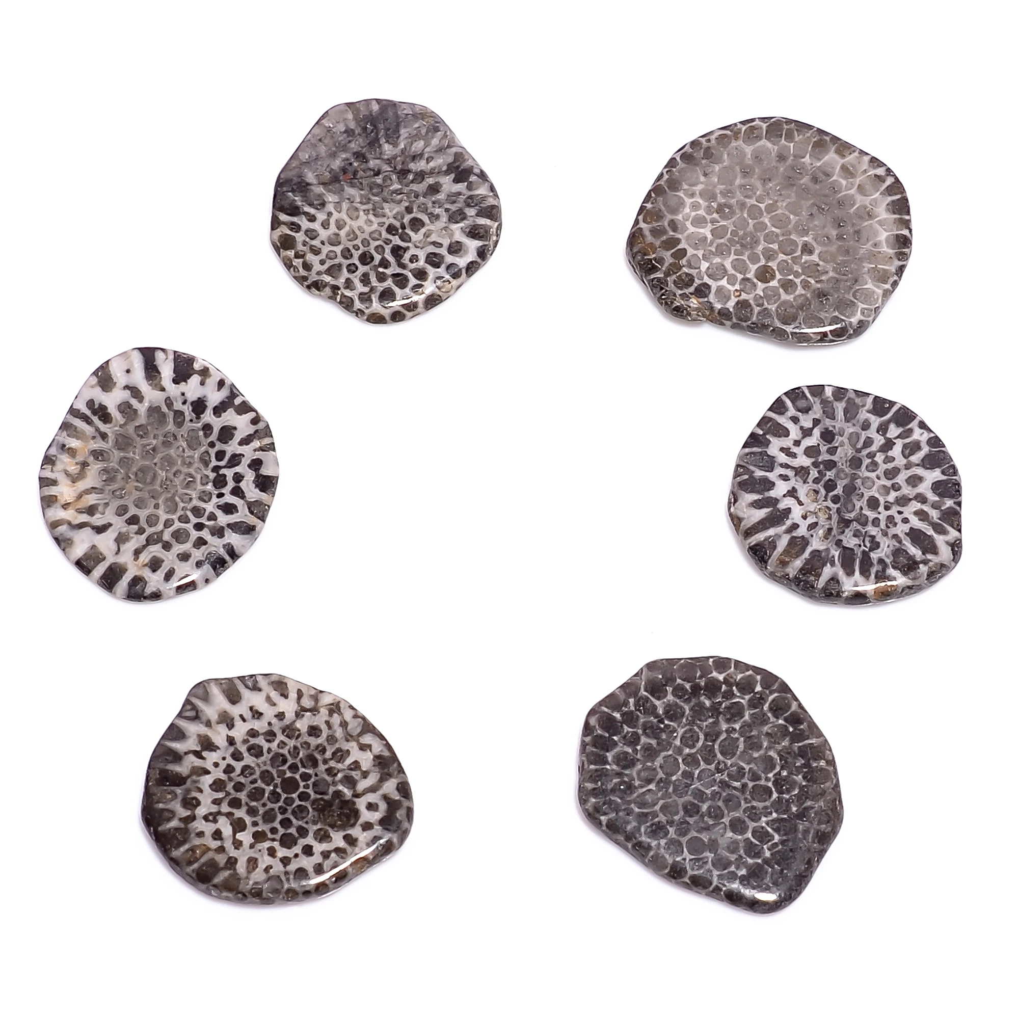 Natural Black Coral Slices Wholesale Loose Gemstone For Jewelry Making Black Coral Slice Natural Stone Designer Stone