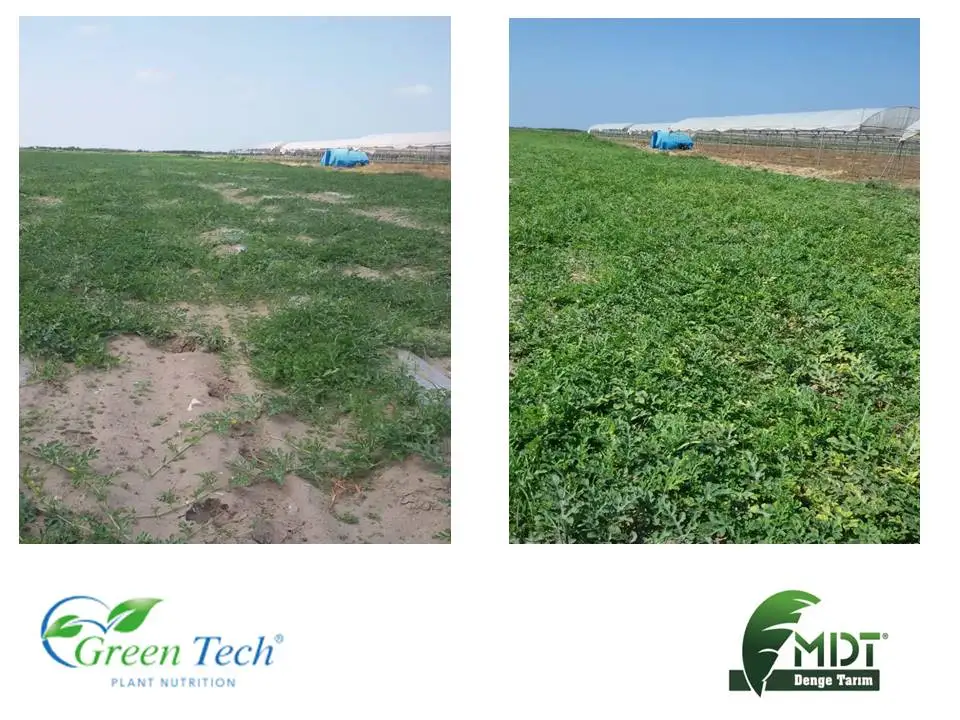 Green Tech Organo-Max - Liquid Fertilizer - Organic Liquid Fertilizer -Vegetable Origin Liquid Organic Fertilizer