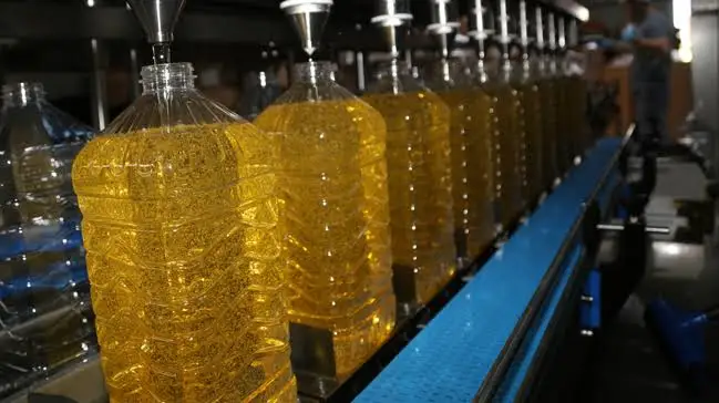 
Organic Oil Hazelnut Oil Refined Organic Original Turkish 100 Purity 100% Pure Cold Pressed Glass Bottle Light Yellow from TR 