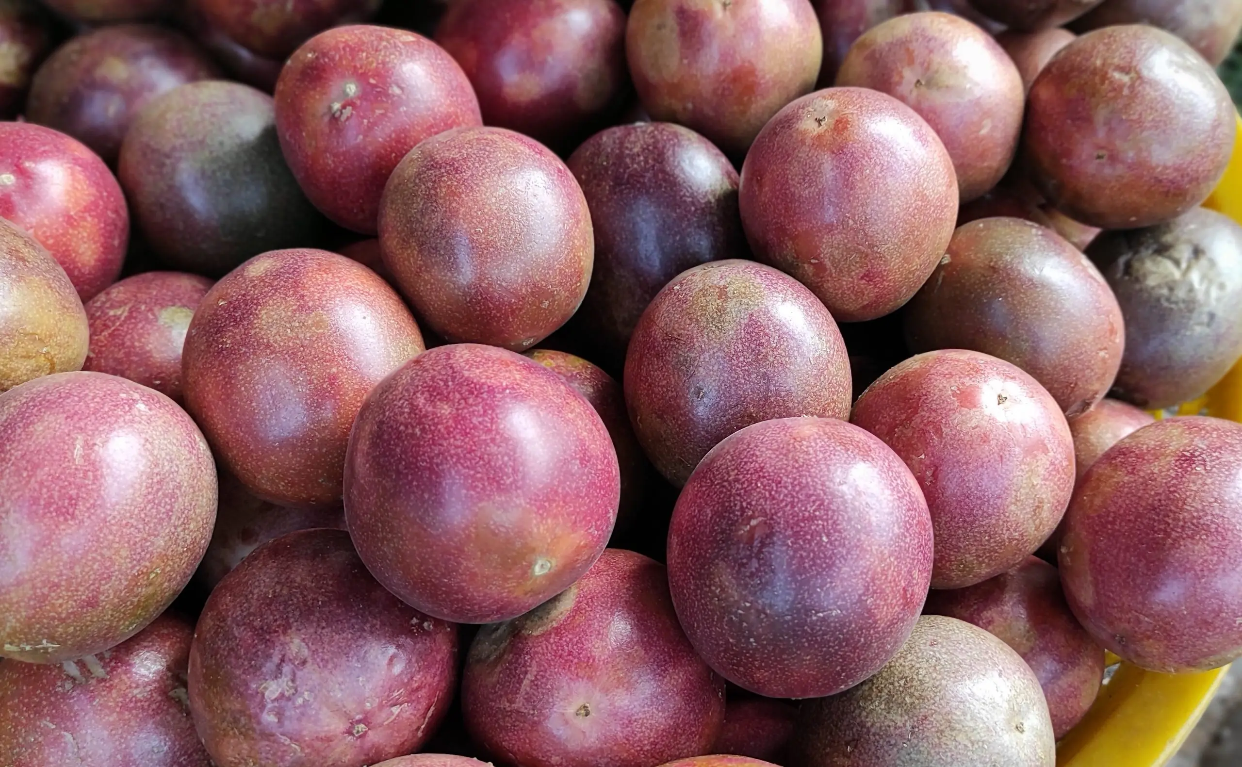 Fresh Passion Fruit - 2021 Premium Quality Fresh fruit 100% Natural Sweet made in Viet Nam newest crop