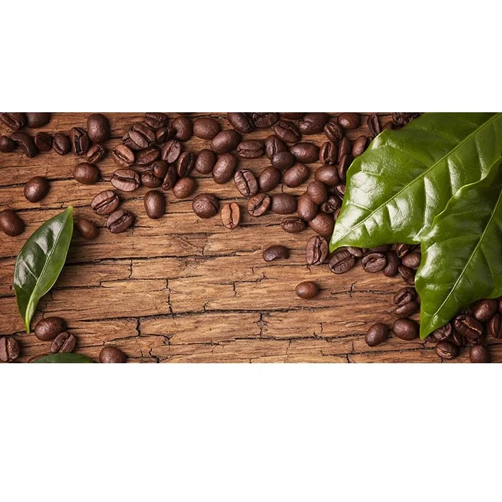 Customized Packing ISO Certification High Quality Tasteful Arabica Coffee Beans from Cau Dat Vietnam