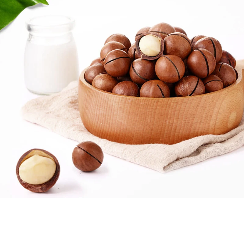 Wholesale Best Price Raw Macadamia nuts/ Roasted Big Kernel Macadamia