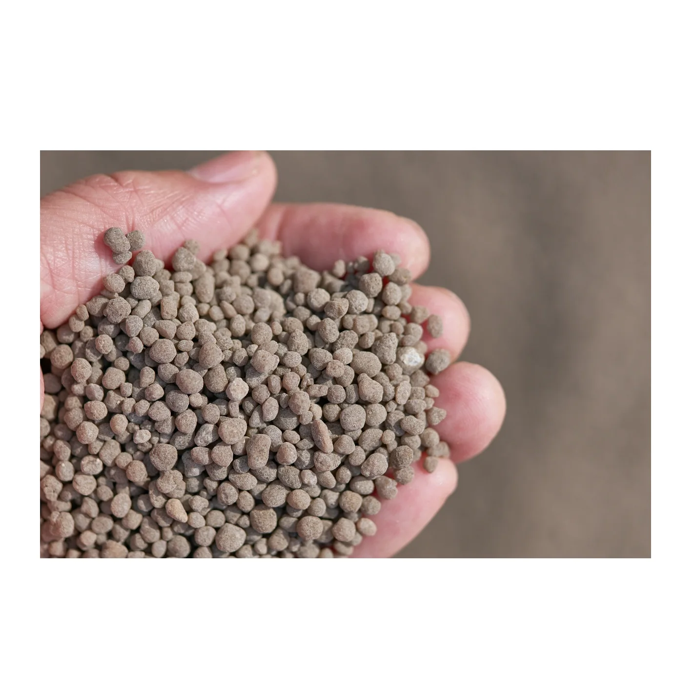 Wholesale High Quality Superphosphate Fertilizer (SSP) For Sale In Cheap Price