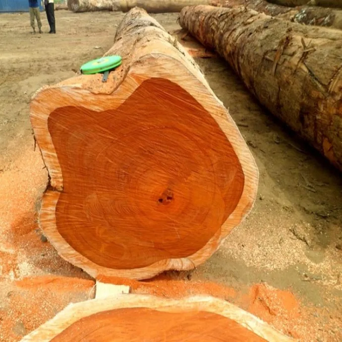 High Quality Teak Timber Logs Teak Timber Timber Logs Wood
