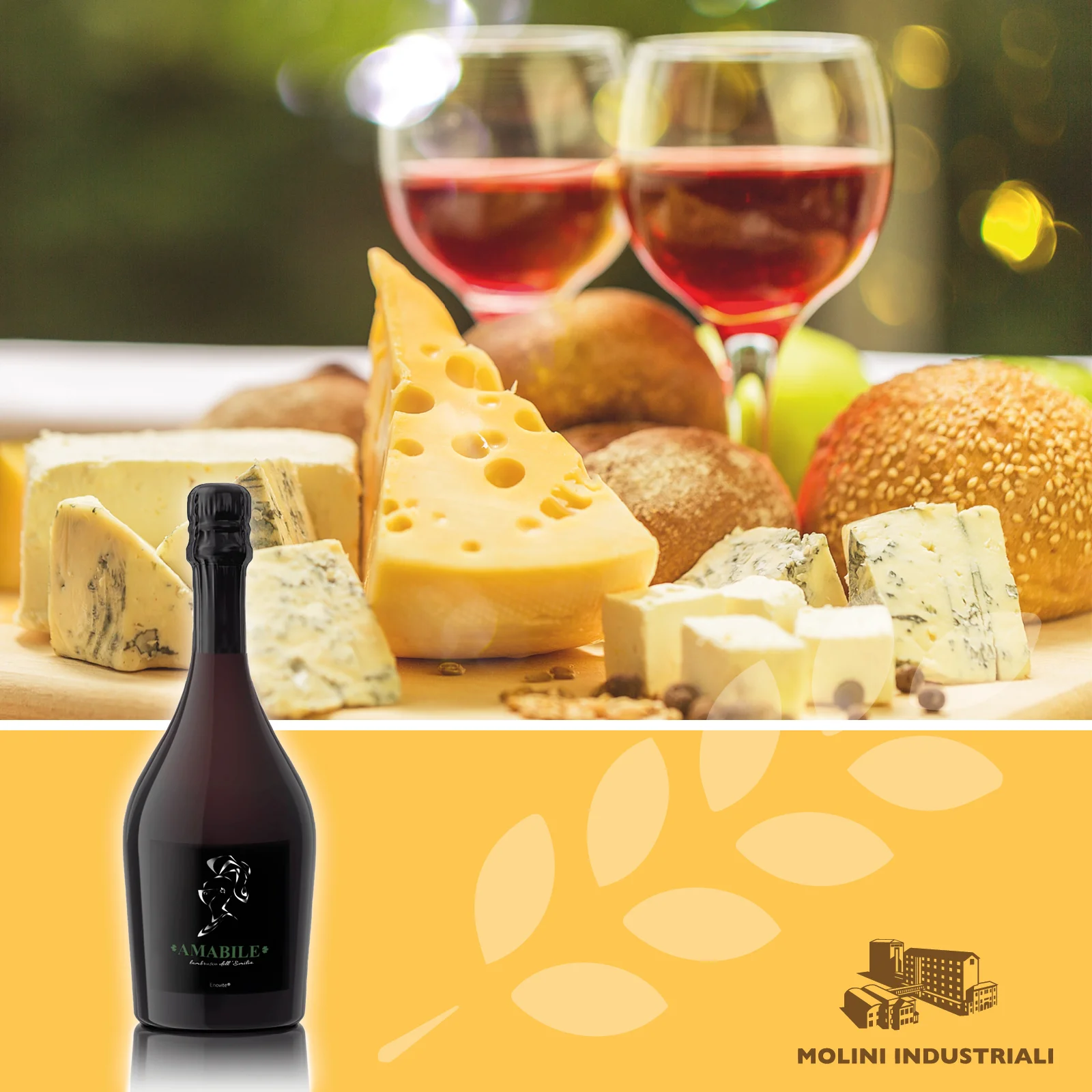 TOP QUALITY ITALIAN TYPICAL WINES FOR RETAIL AND FOOD SERVICE : MADE IN ITALY RED WINE FROM EMILIA BUNDLE