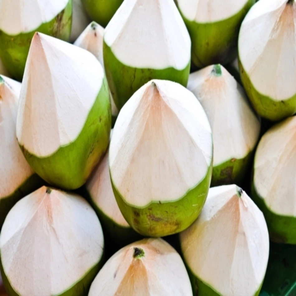 
Green Sweet Fresh Fruit 1kg WHOLE Shell Fresh Young Coconut From Thailand 
