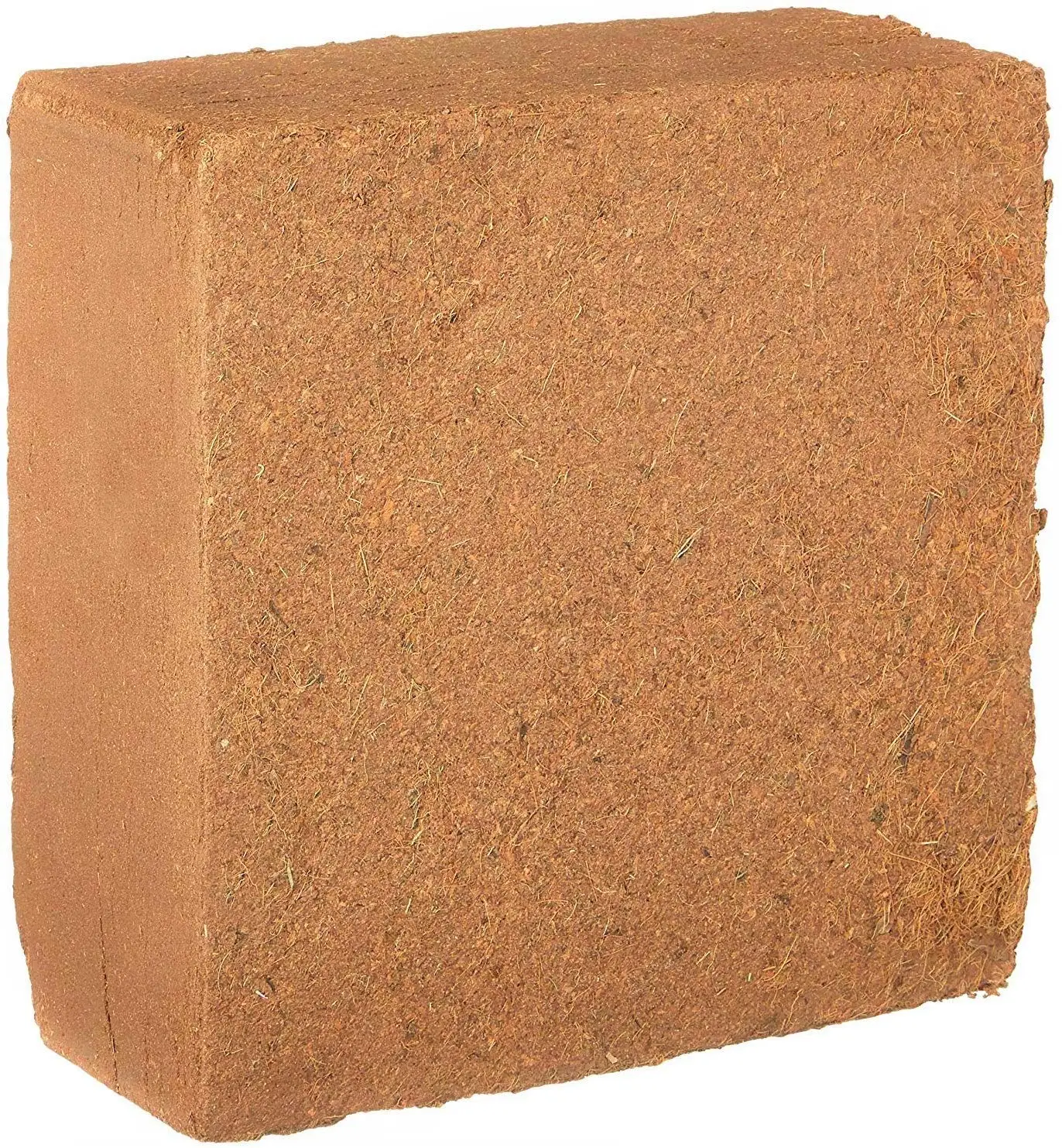 100% натуральное вьетнамское растение в горшке COCOPEAT и COCO