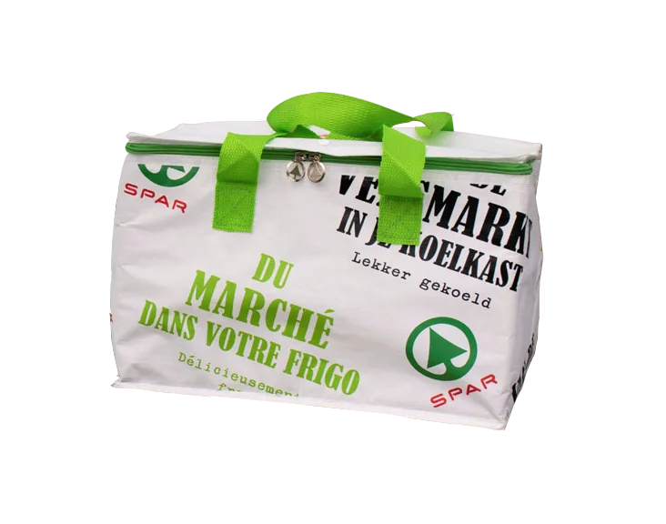 Custom Logo Printed PP Woven Versatile Cooler Bag Carry Food With Zippers For Kids And Adults