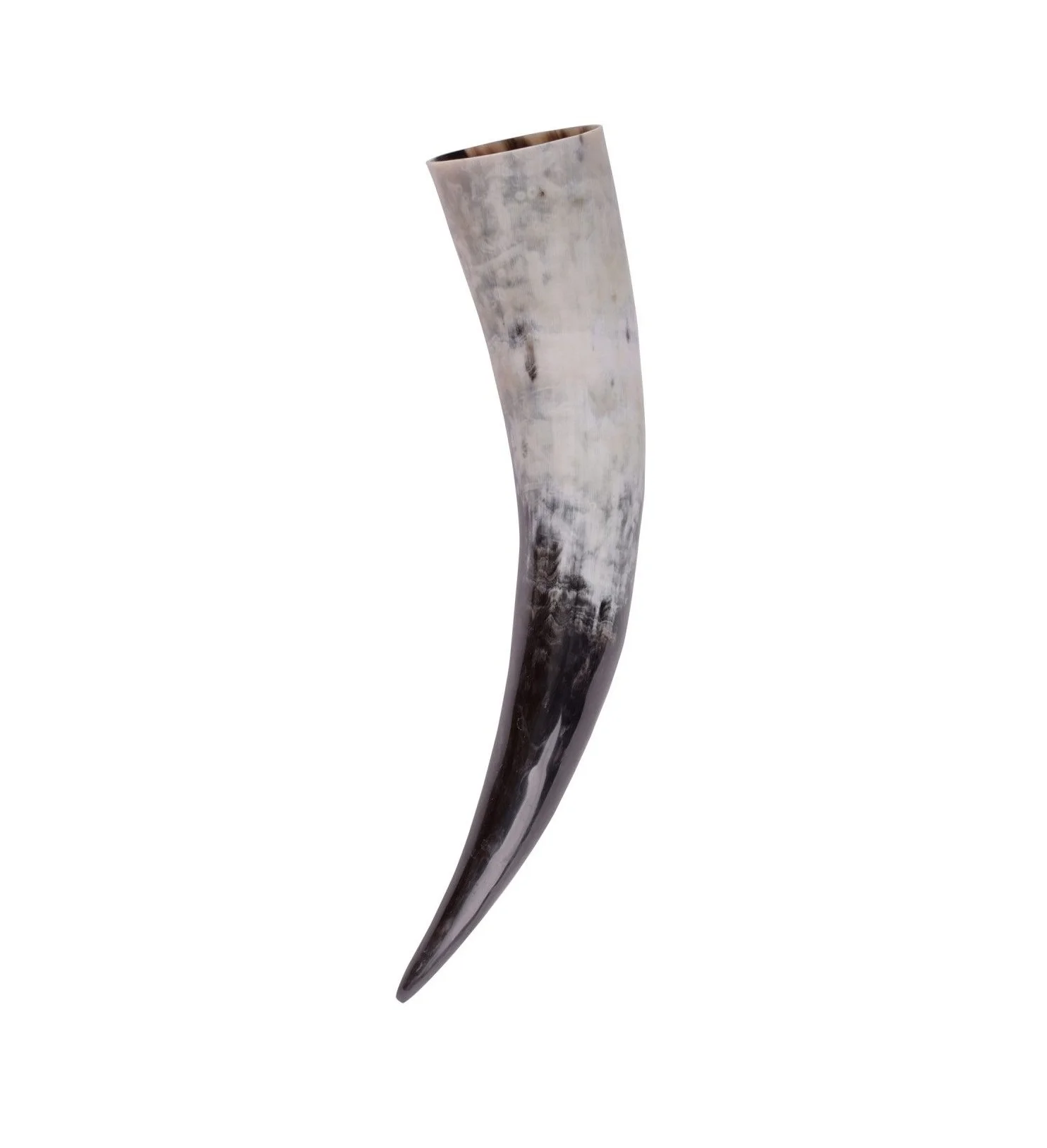 Top Selling Real OX Viking Drinking Horn with Horn Stand Exporter Polished Buffalo Drinking Horn Wholesale Supplier