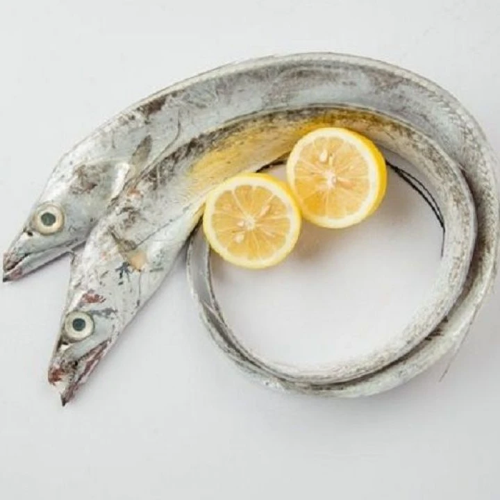 Frozen Largehead Hairtail Fish Seafood From Indonesia Ocean