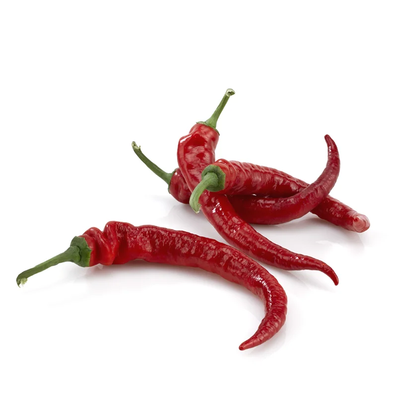 High Quality From Vietnam Agri Dry Chili Red Dry Organic Pepper Chili Dried Wholesale Cheap price (10000004791313)