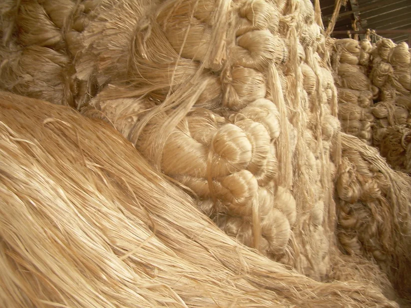 Best Quality Direct Factory Supply High Grade & Low Price 100% Natural Raw Jute Color Moisture 100% Natural Raw Jute