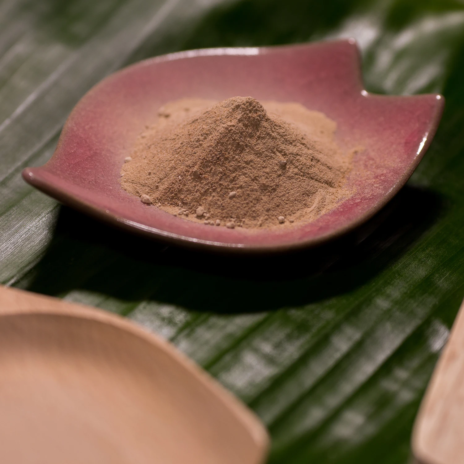 Wholesale Premium Shrimp Paste SPP-D01 Seafood Seasoning Ingredient Powder