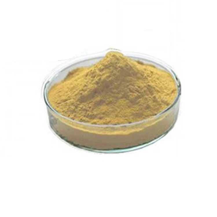 100% Pure Finest Quality Natural Hawthorn Berry Fruit Herbal Extract Powder from Wholesale Supplier