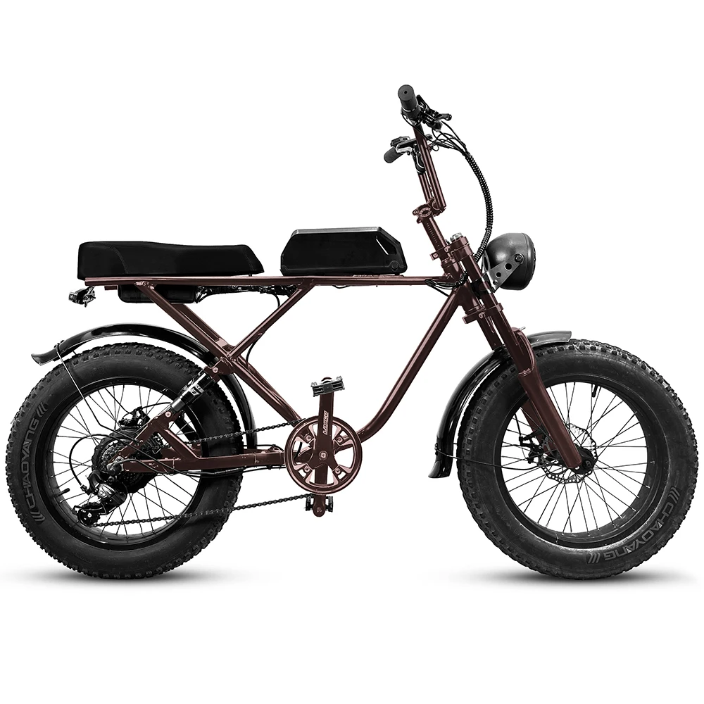 2021 fat tire folding electric bike/folding bike 7 speed mini folding bike 20 folding bikes for sale/shock absorbing bicycle