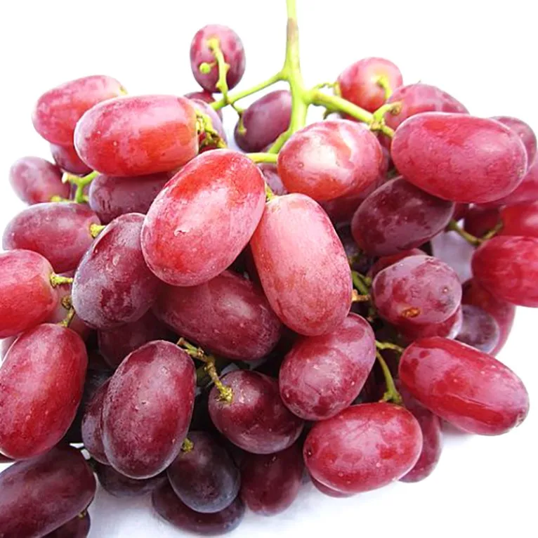Export red globe superior seedless fresh grapes
