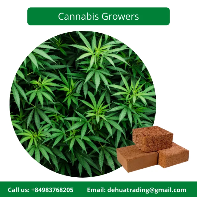 Famous Brand Bentre Coconut Coir in Vietnam Coco Peat Brick 5KG Customizable with Affordable Price