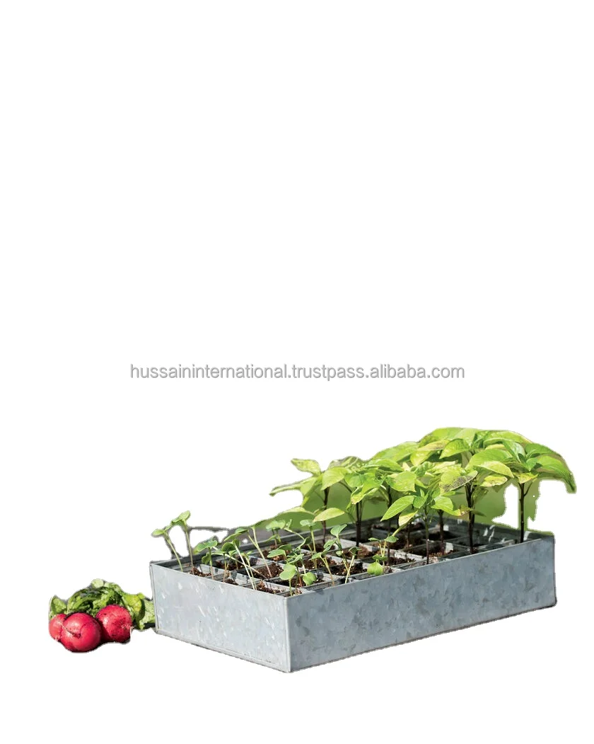 Galvanized Metal Seed Germination\Starting Tray