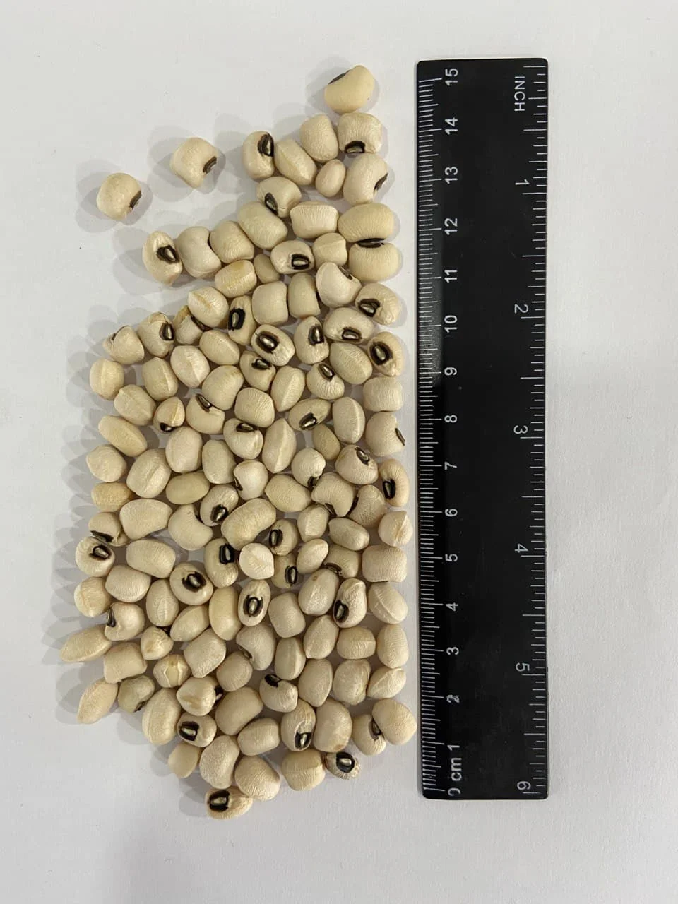 Sofia Agro crop 2021 October wholesale good quality from Uzbekistan bags 25 kg natural dried black eye beans