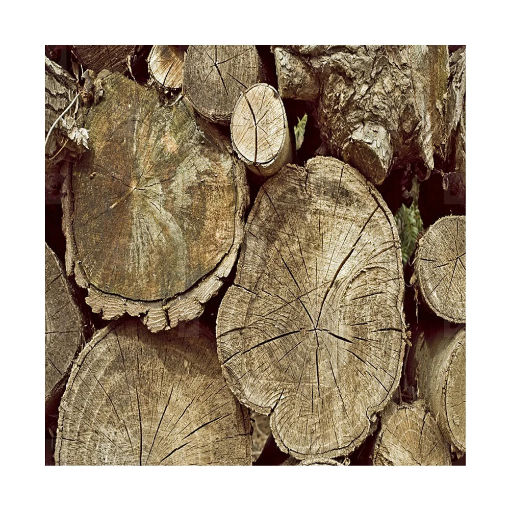 Деревянная древесина сырье всех видов деревянного оборудования высокое качество Лидер продаж