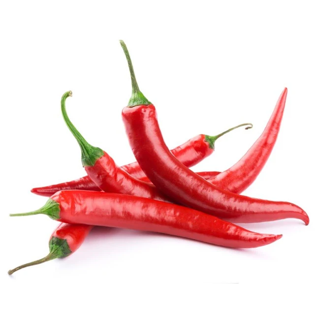Fresh / Frozen Spicy Chili (Pepper) wholesale Cheap price and quick response with high quality and carefully packaged