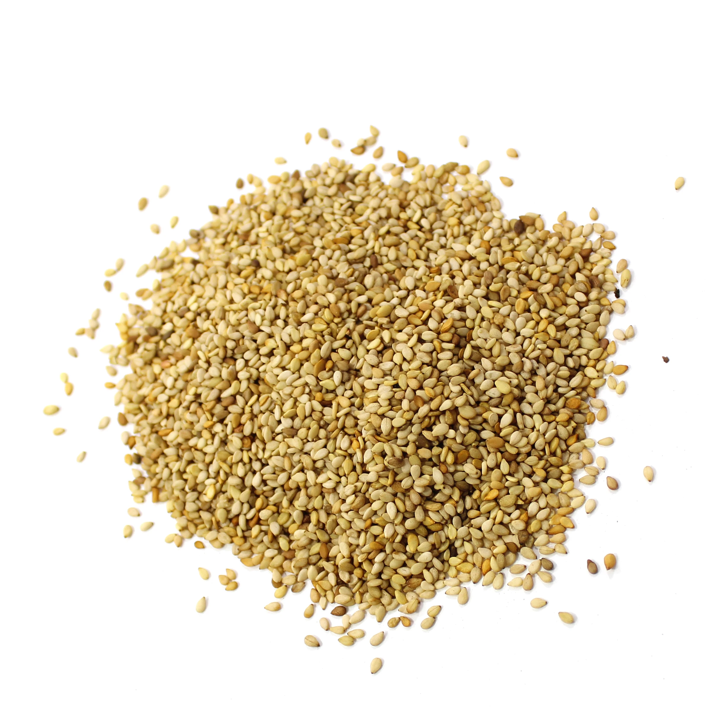 High Quality natural Sesame Seeds white purity 99% grade A spices herbs extract