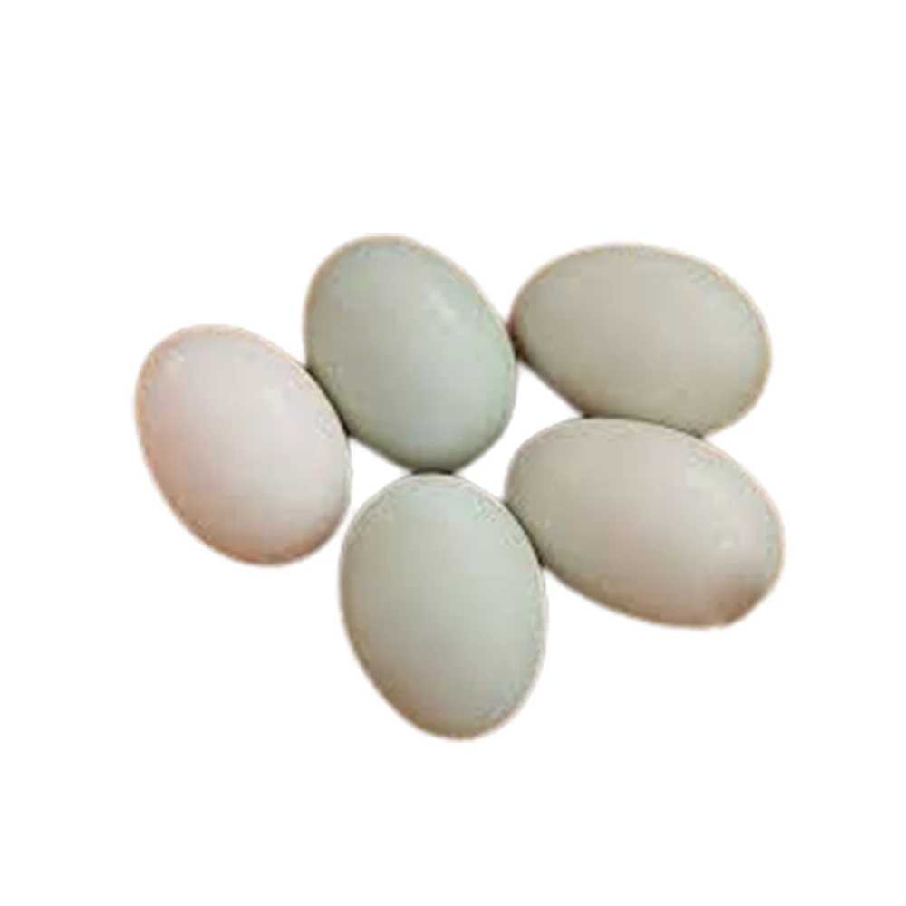 High Quality Salted Duck Egg Salty Flavor Packing Carton from Vietnam Export