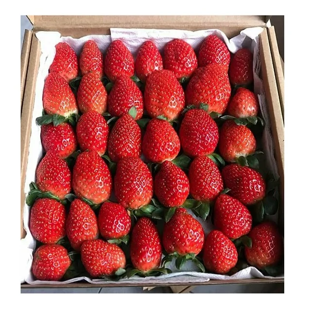 100% natural FD strawberry/dry strawberry, delicious snack fruit