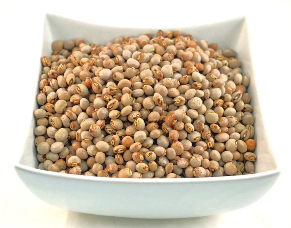 Best quality  Dried / Green Pigeon Peas from Peru