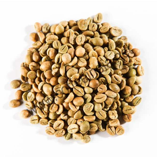 
 Заводской поставщик, зеленые кофейные зерна Robusta по оптовой цене   (50030710276)