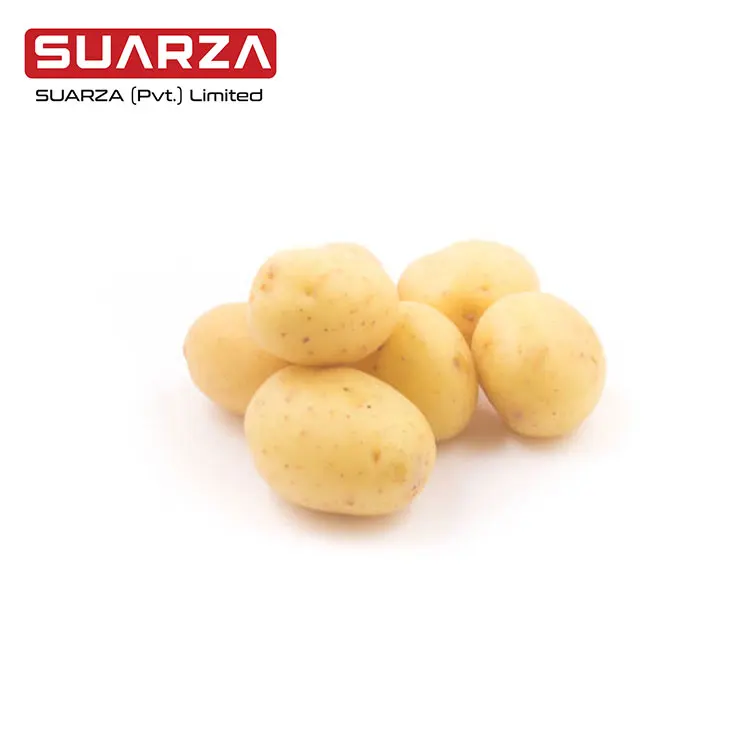 Мозика из Пакистана по низкой цене