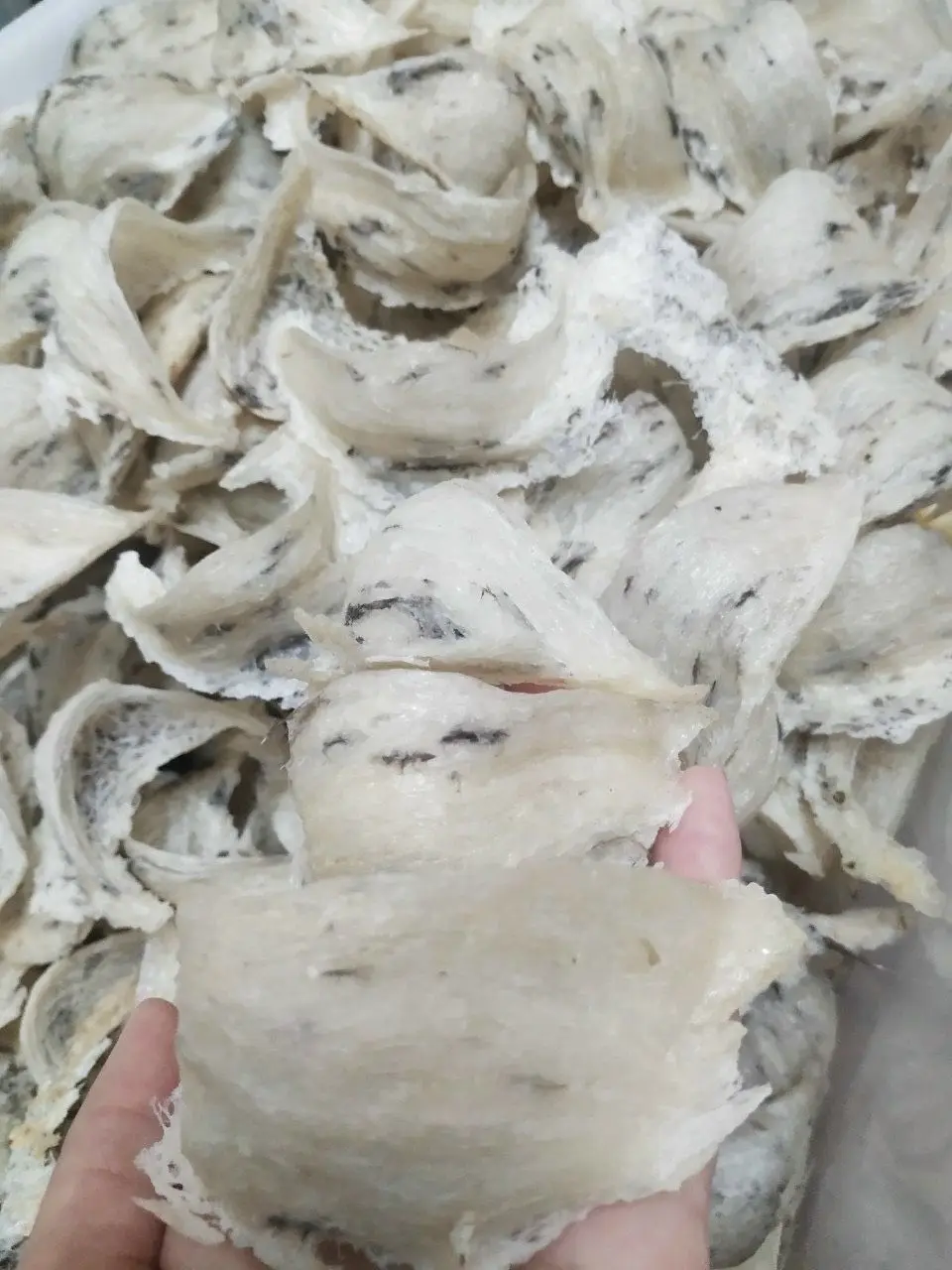 Оптовая продажа необработанные птичьи гнезда премиум класса коробка для птичьих гнезд из Вьетнама лучший поставщик свяжитесь с нами по лучшей цене