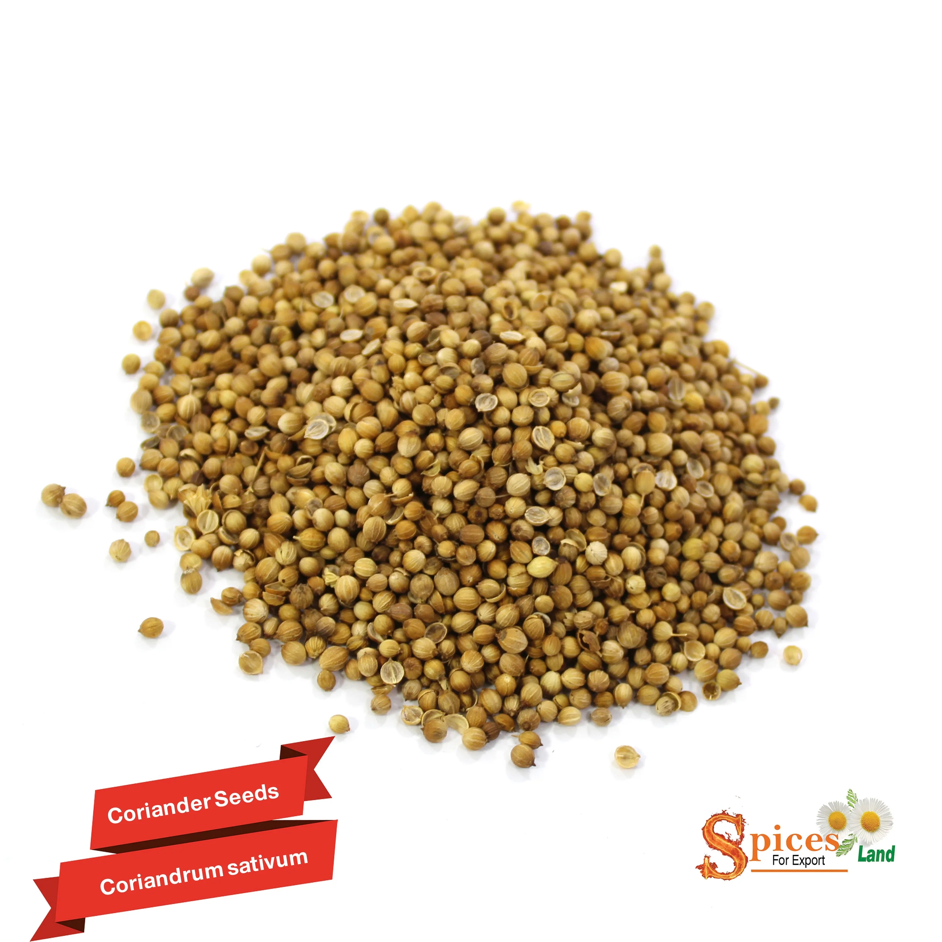 
(SPICES LAND for EXPORT) Coriander Seed for - BEST QUALITY, BEST PRICES AD Single Herbs & Spices Dried Raw Granule BRC ISO 