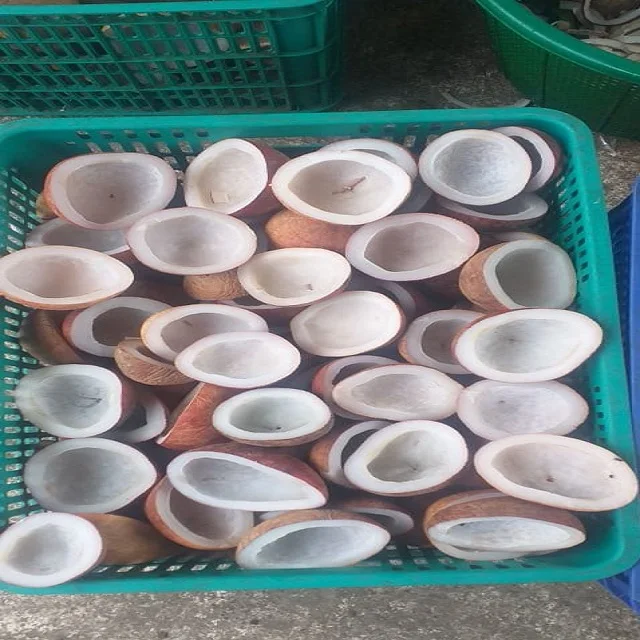 Best Selling Coconut White Copra Edible 4-9 cm Origin Indonesia