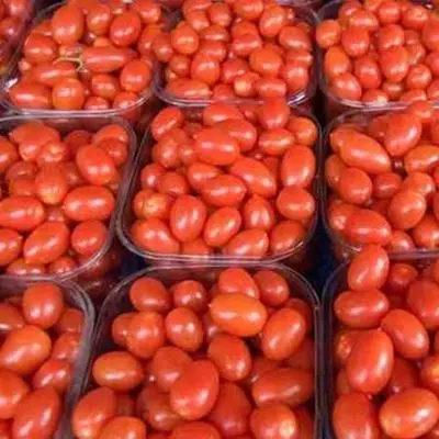 fresh-tomatoes-onion.jpg