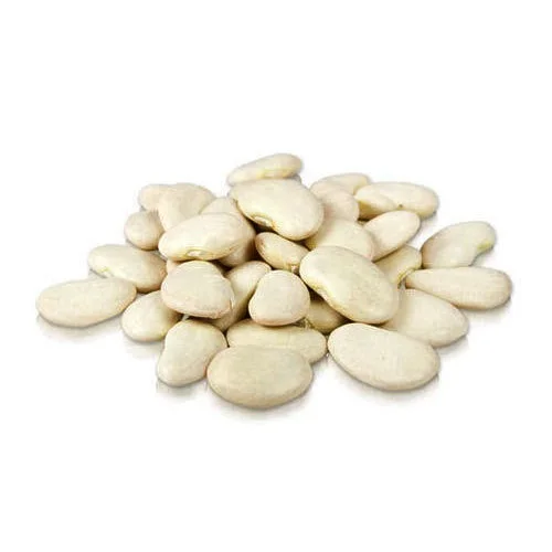 
High Quality Large Lima Beans Available For Sale 