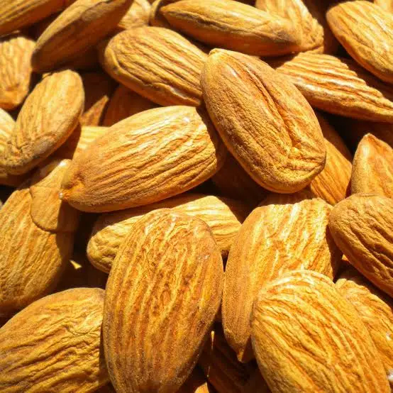 Export Quality California Breed Almonds