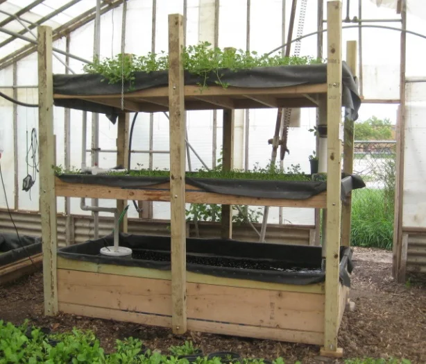 Square Plastic Pots Hydroponic Tomato Vegetables Grow Buckets