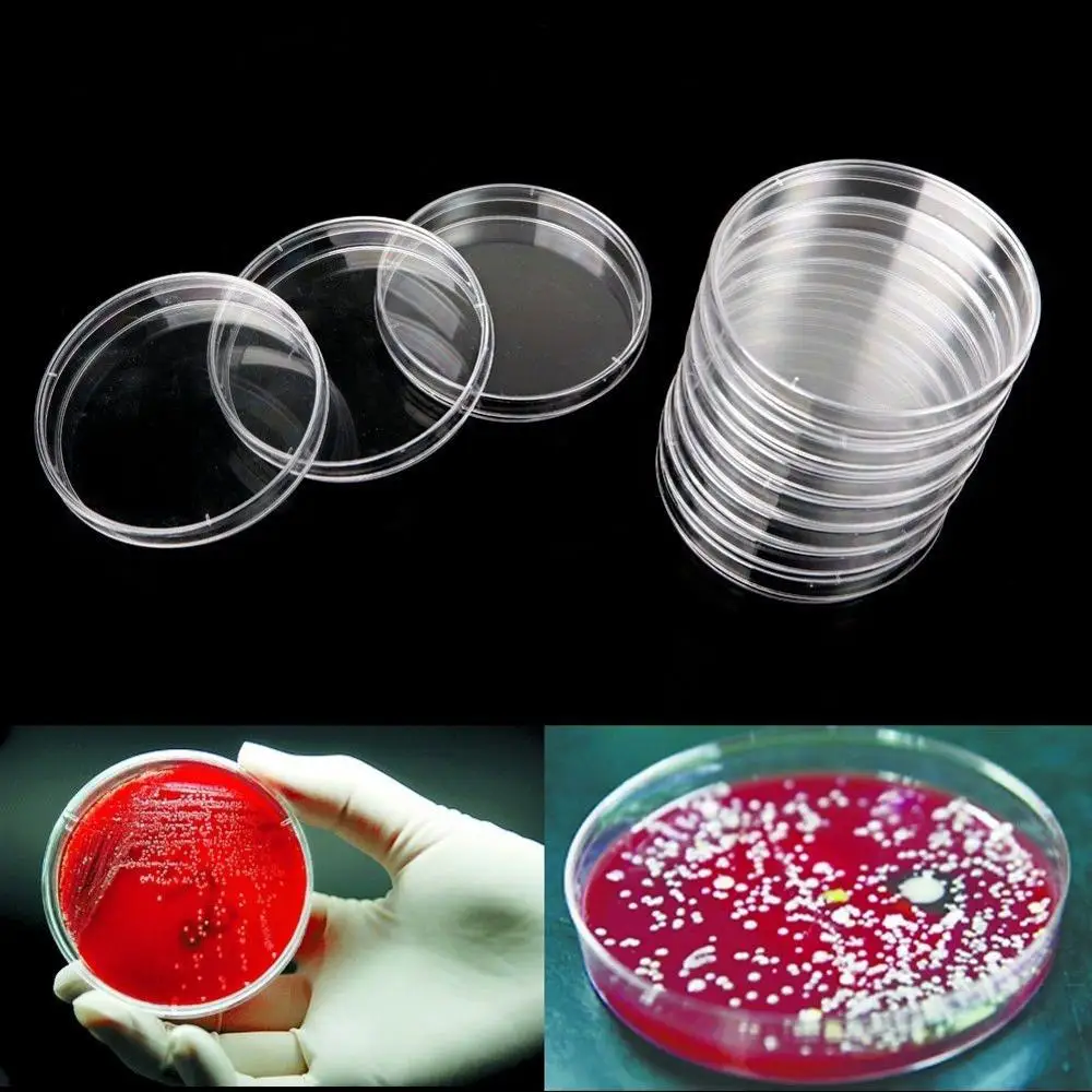 
petri dish pipette 